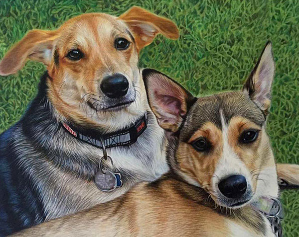 cuccioli cani matita da fotografia