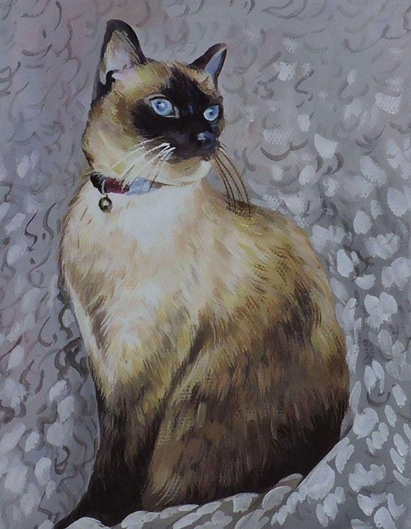 chat