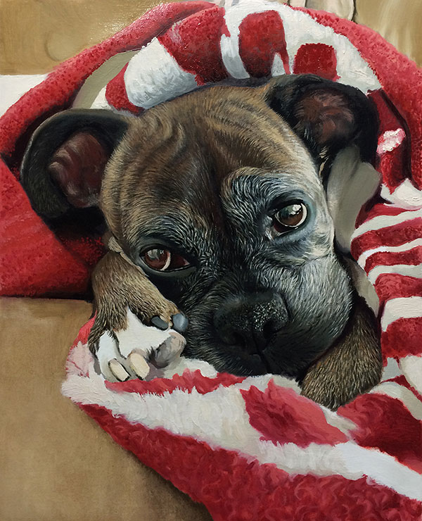 dog portrait warm dog