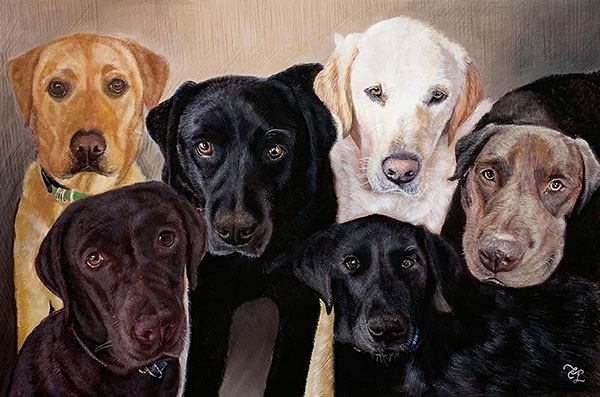 custom colored pencil pet drawing of 6 dogs