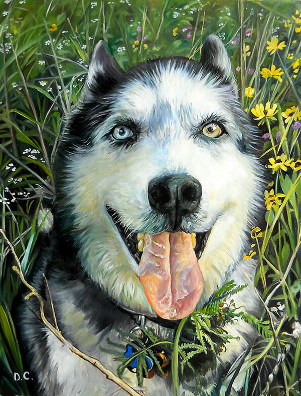 Husky Ölgemälde