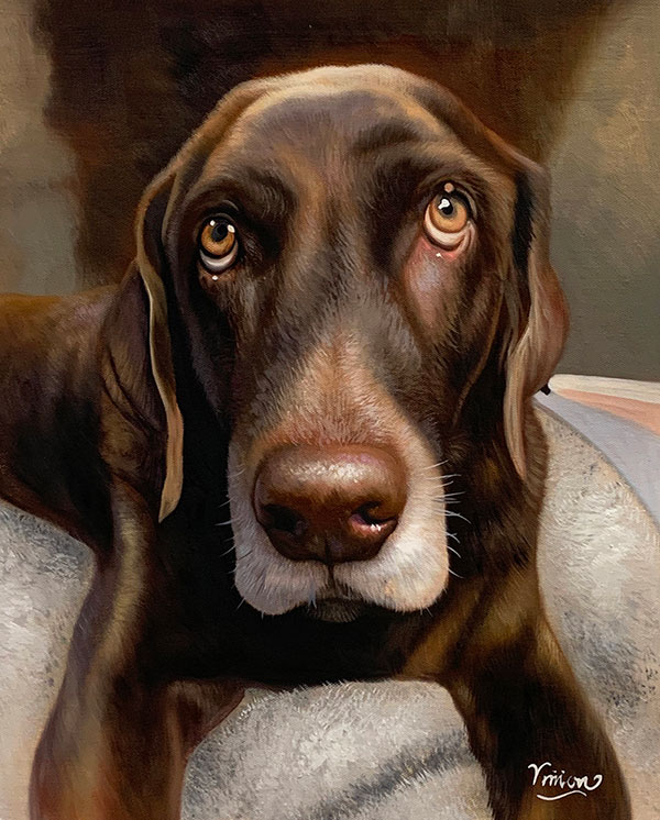 portait de chien