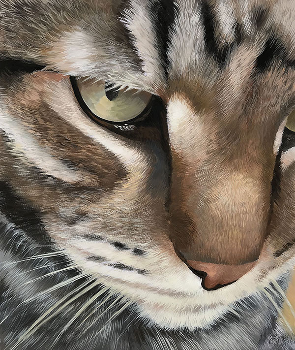 close up pastel portrait of a cat