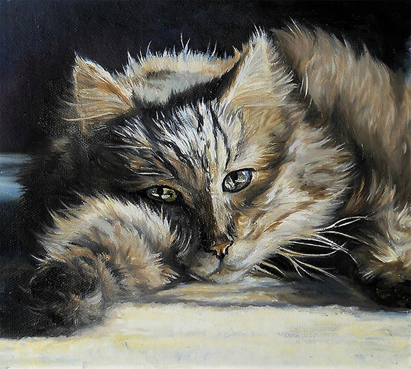 custom oil painting of long haired sleepy kitty