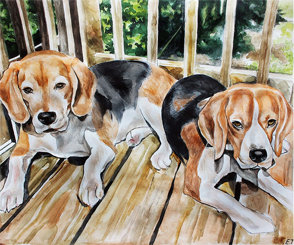 cuadros en acuarela, foto a pintura online de mascotas