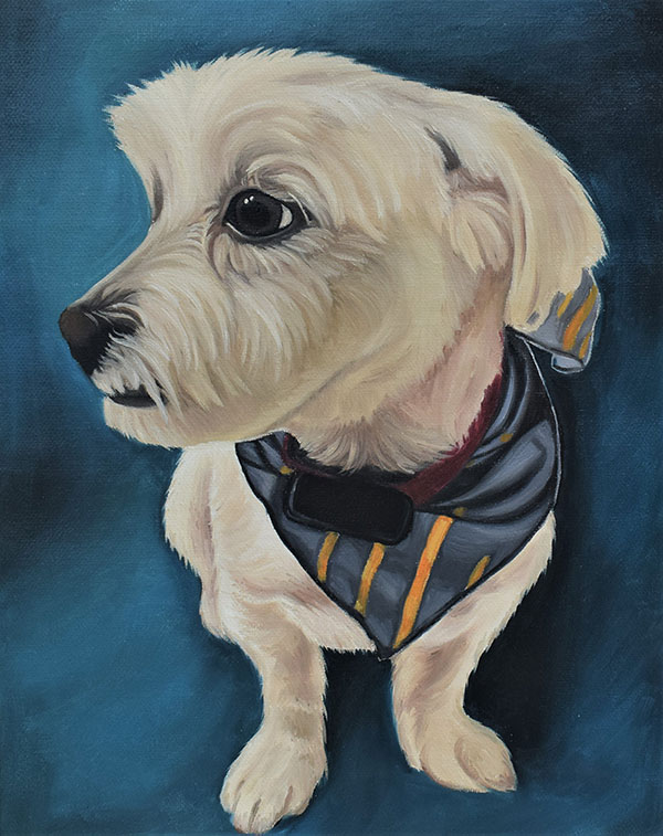 Portrait chien