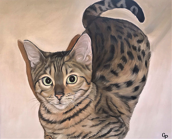 Peinture chat