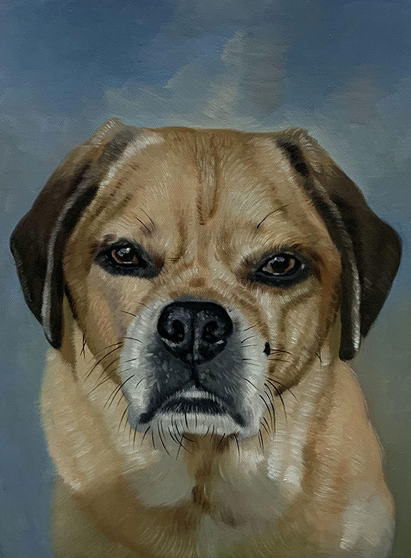 custom pet portrait in oil