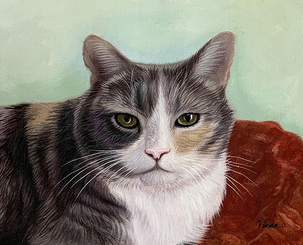 personalized oil painting of a cat laying on a red blanket