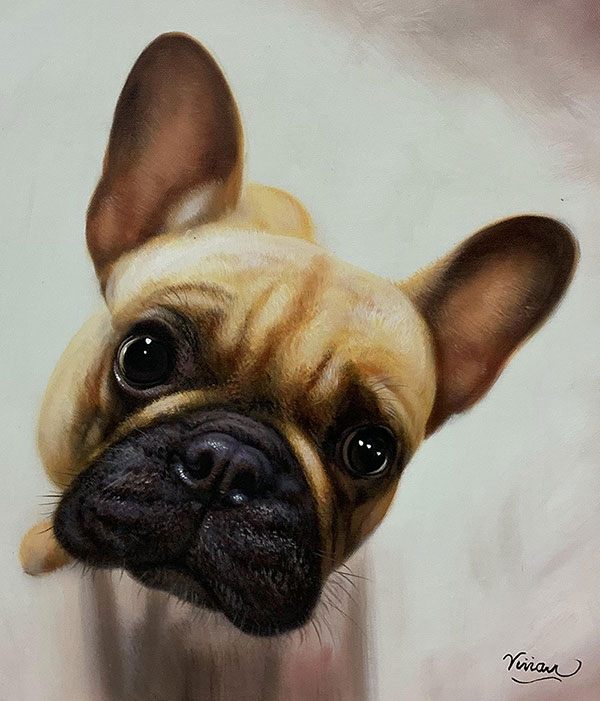 custom painting of a french boxer made in oil