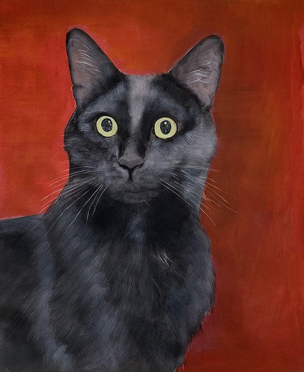 photo to pastel painting black cat with a red hint