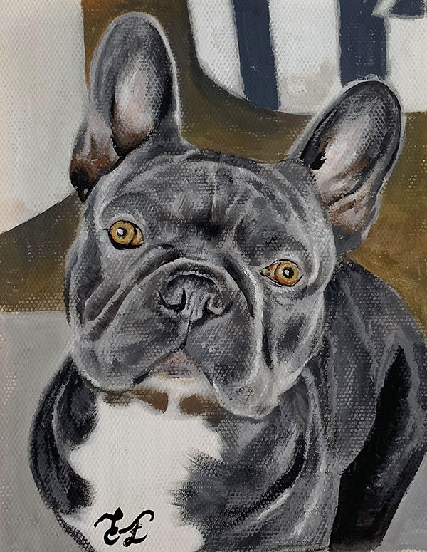 custom pastel portrait of black pug