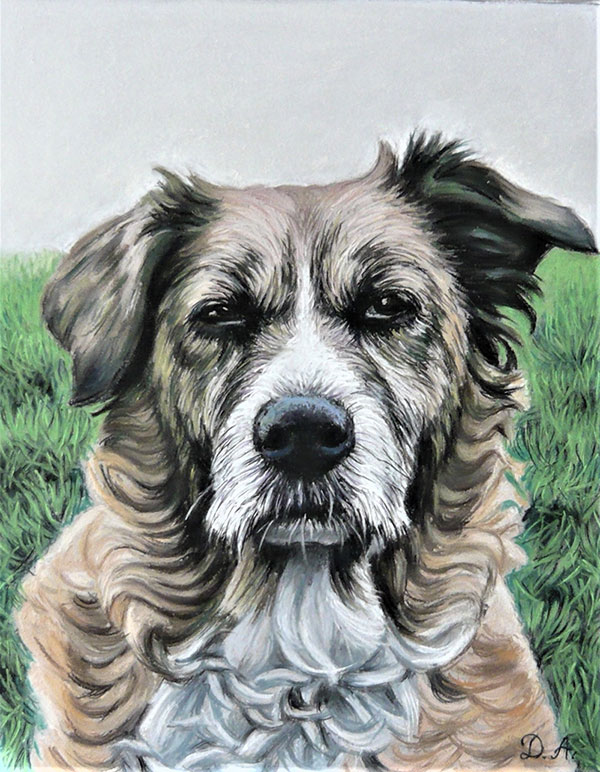 photo realistic pastel painting of a grumpy dog