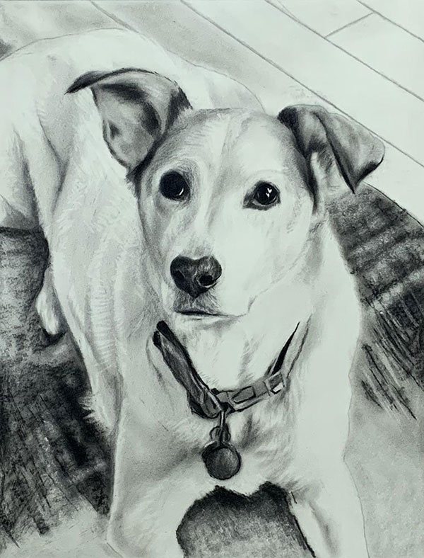 dog charcoal drawing