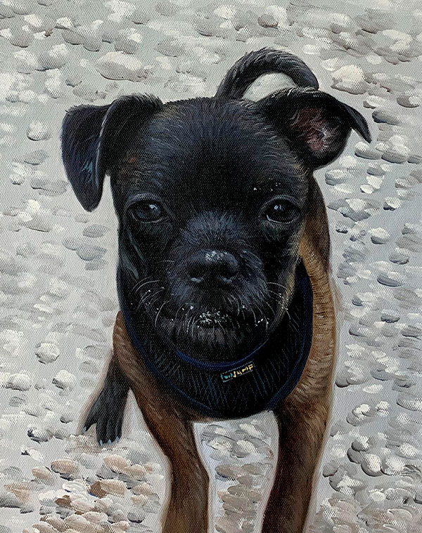 Beautiful handmade oil painting of a dog
