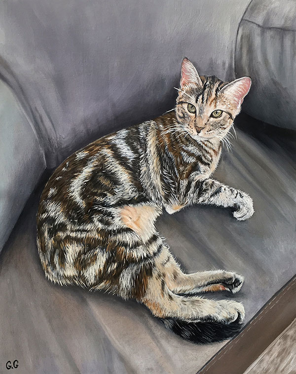 custom oil painting of a multi colored cat