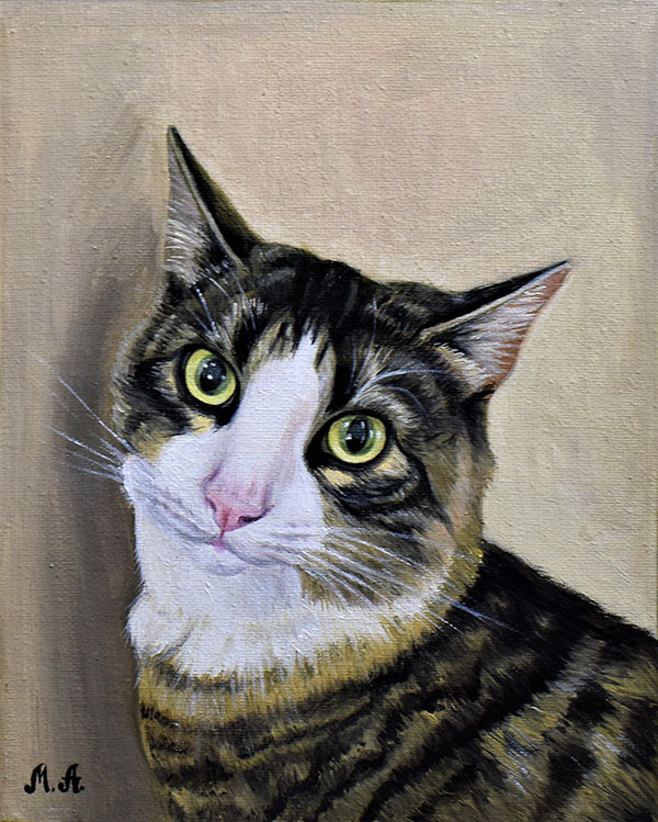 custom oil painting of a cat with solid background