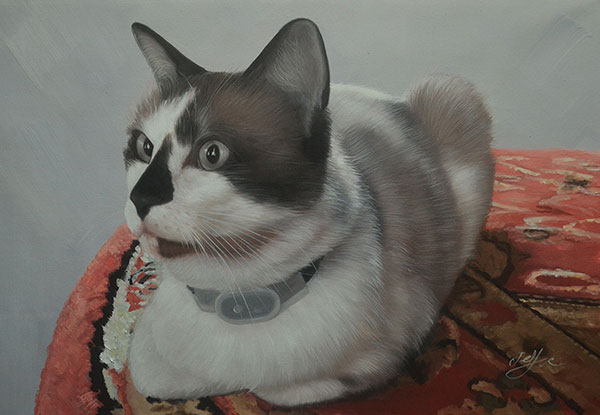 oil painting og cat laying on table