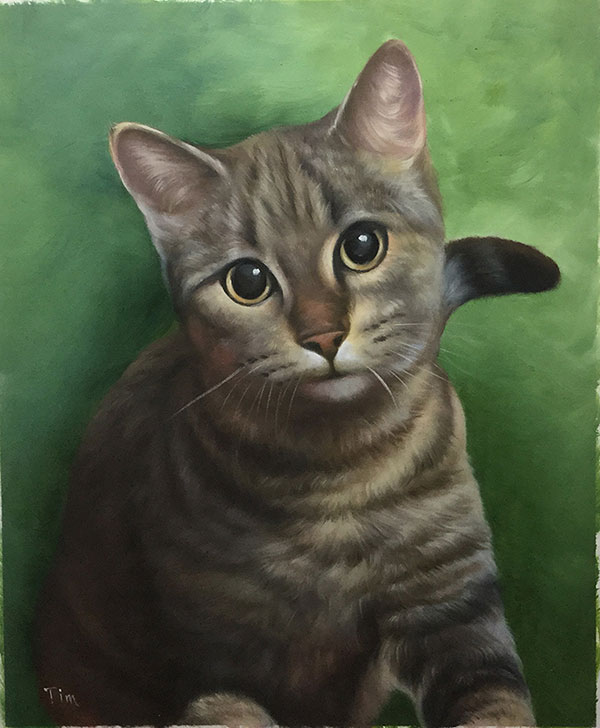 Custom oil handmade portrait of shabby cat green background
