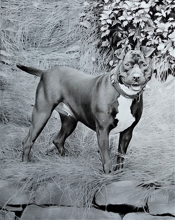 Custom charcoal artwork of a dog