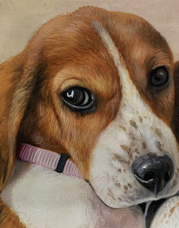 Close up realistic artwork of a puppy