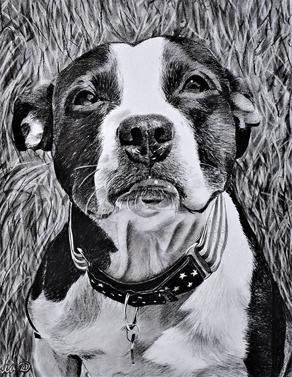 Custom charcoal painting of a dog