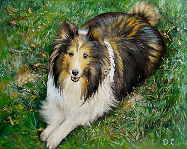a handmade oil painting of longhair border collie