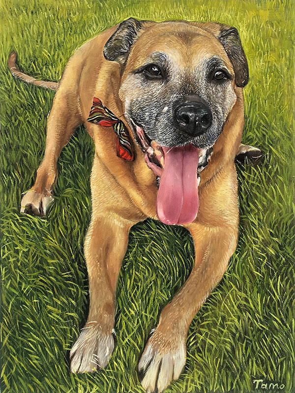 smiling dog portrait