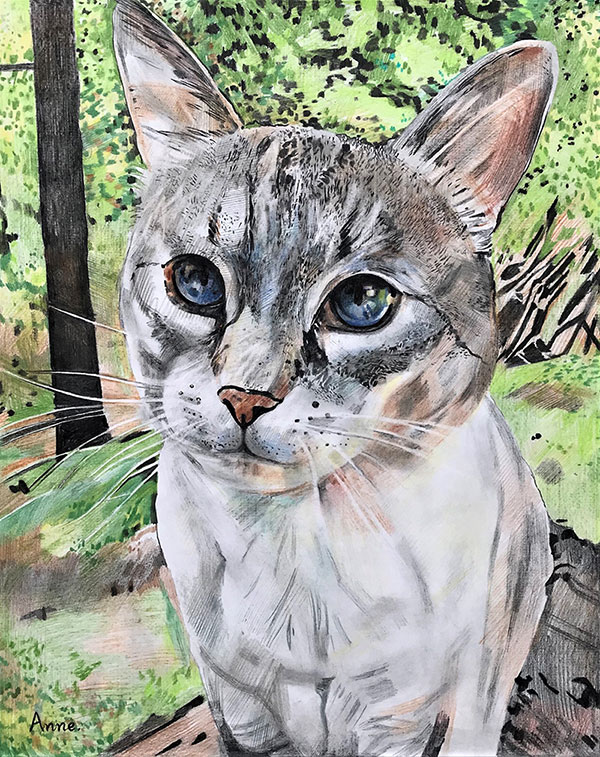 Close up color pencil painting of a cat