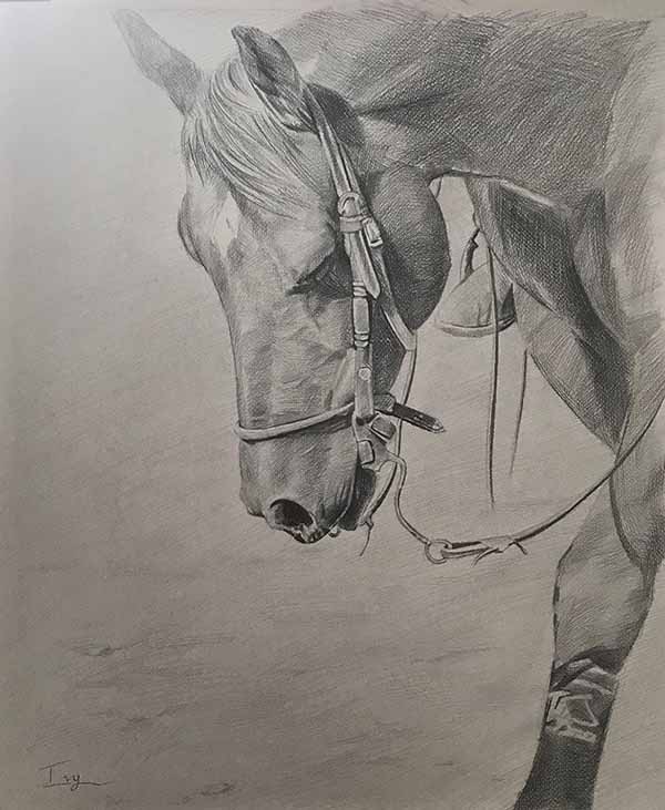 tête de cheval