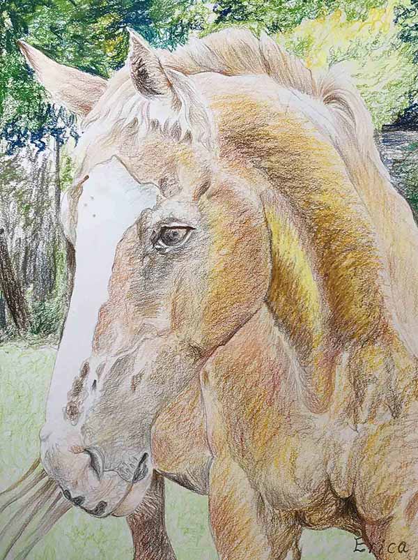 color pencil majestic horse painting