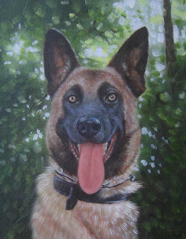 foto a cuadro, foto a pintura de perro