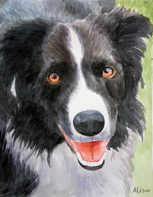 watercolor painting of black and white Australian Shepard