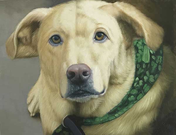 ritratto ad olio da fotografia cane labrador