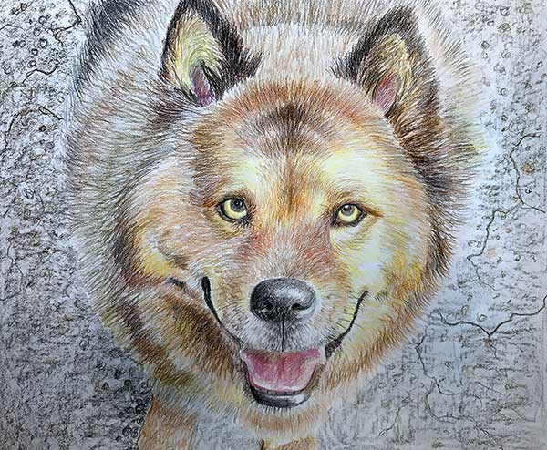 chien toile peinture