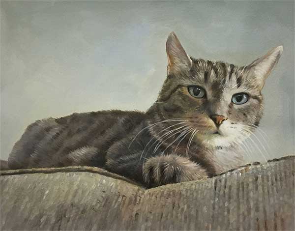 Ritratto ad olio gatto da fotografia