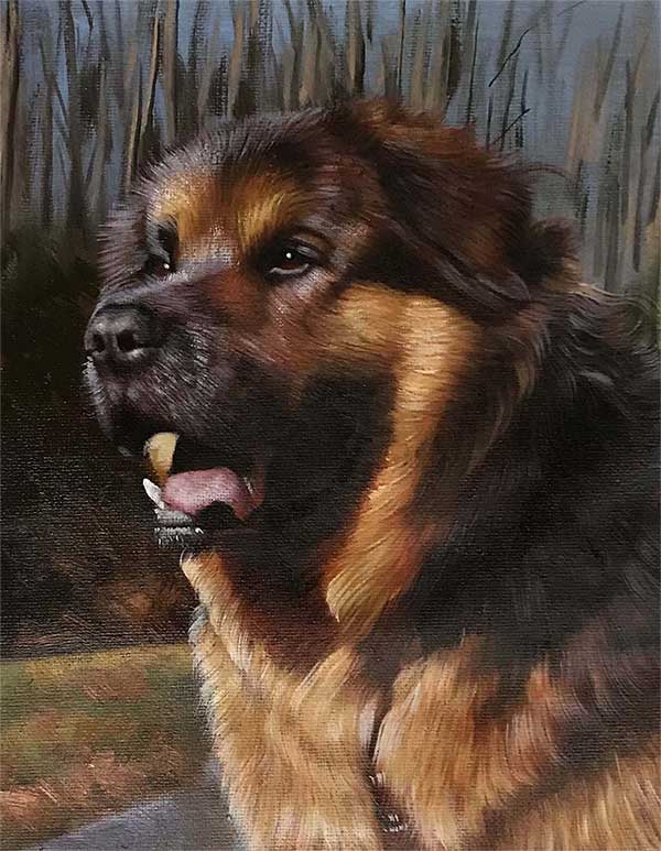 faire peindre portrait de mon chien