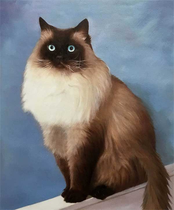 an oil painting of a beautiful cat with blue eyes