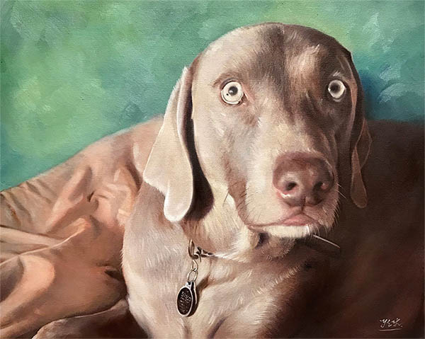 an oil painting of a chocolate lab on a green background