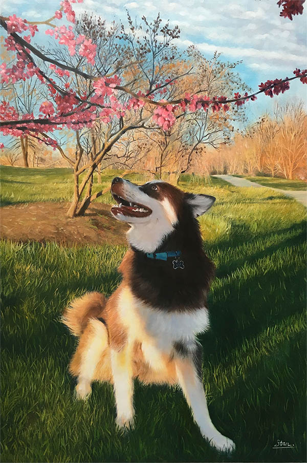 art canin sur mesure