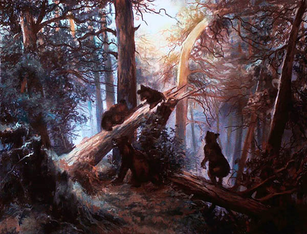 Animaux dans la forêt