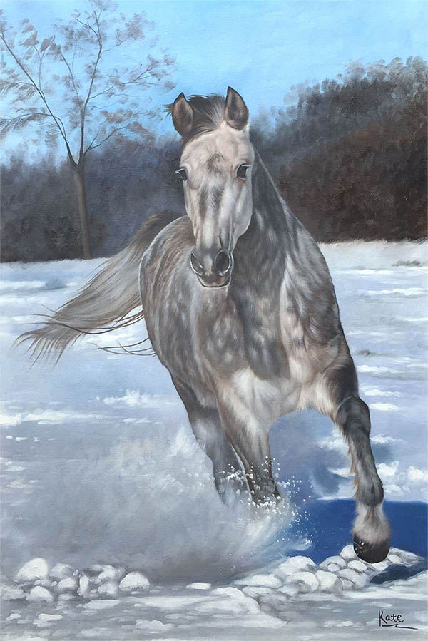 Portrait de cheval