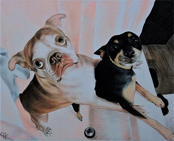 dog portraits on canvas