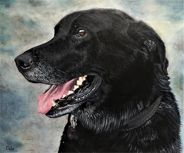 custom oil portraot of a black dog blue background