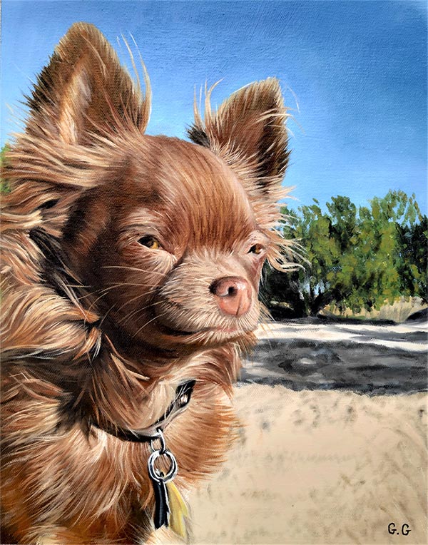 a handmade oil painting of a long haired chichuachua