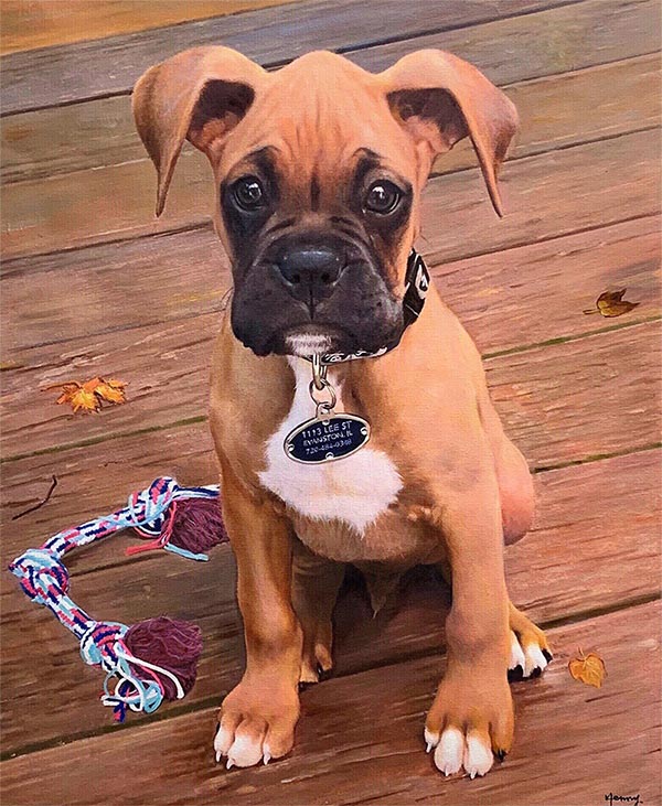cute small bulldog o a brown poarch
