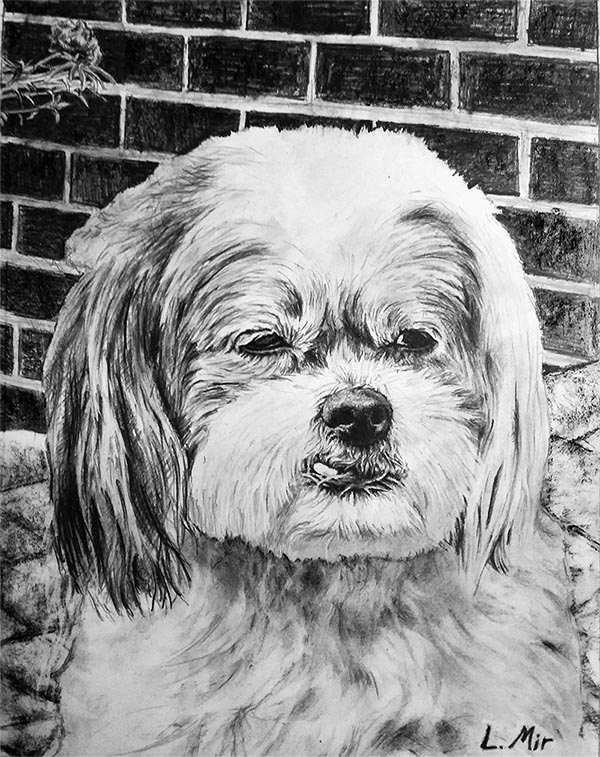 dog canvas painting
