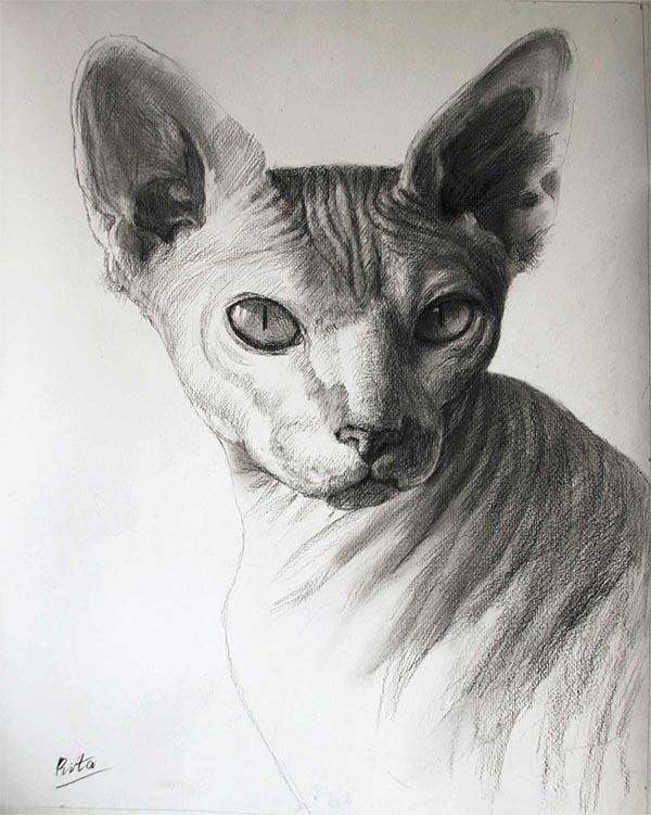 Katzen Kunst