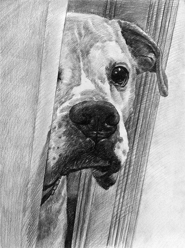 art canin sur mesure