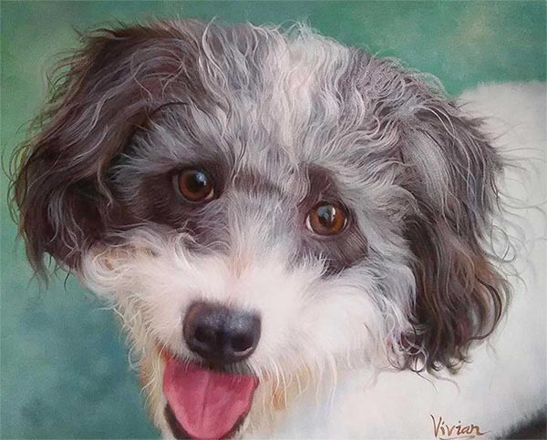 dog portraits on canvas